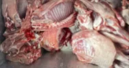 Udana prowokacja: wpadł z nielegalnym mięsem halal - zdjęcie 5