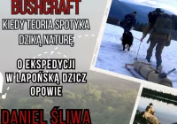 Bushcraft i wyprawa do Laponii - zdjęcie główne