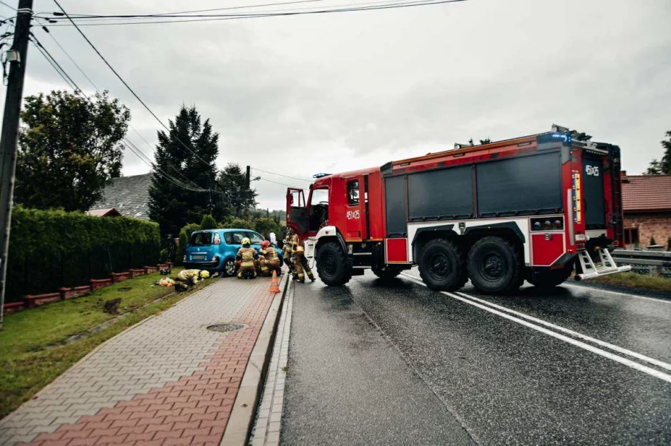Wypadł z drogi i uderzył w ogrodzenie - zdjęcie 2