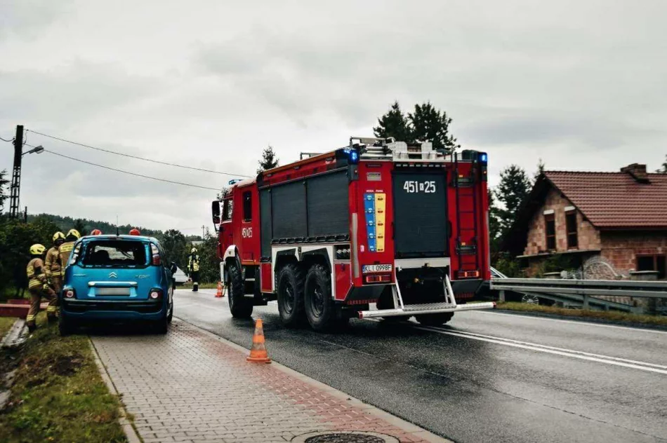 Wypadł z drogi i uderzył w ogrodzenie - zdjęcie 5