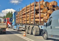 Fiat wjechał w tył ciężarówki, kierowca poszkodowany - zdjęcie główne