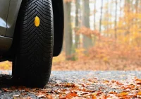 Jakie opony całoroczne 205/55 R16 wybrać? Modele warte uwagi - zdjęcie główne