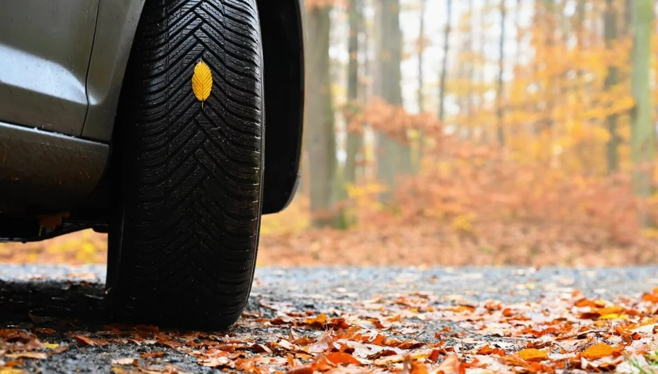Jakie opony całoroczne 205/55 R16 wybrać? Modele warte uwagi - zdjęcie 1