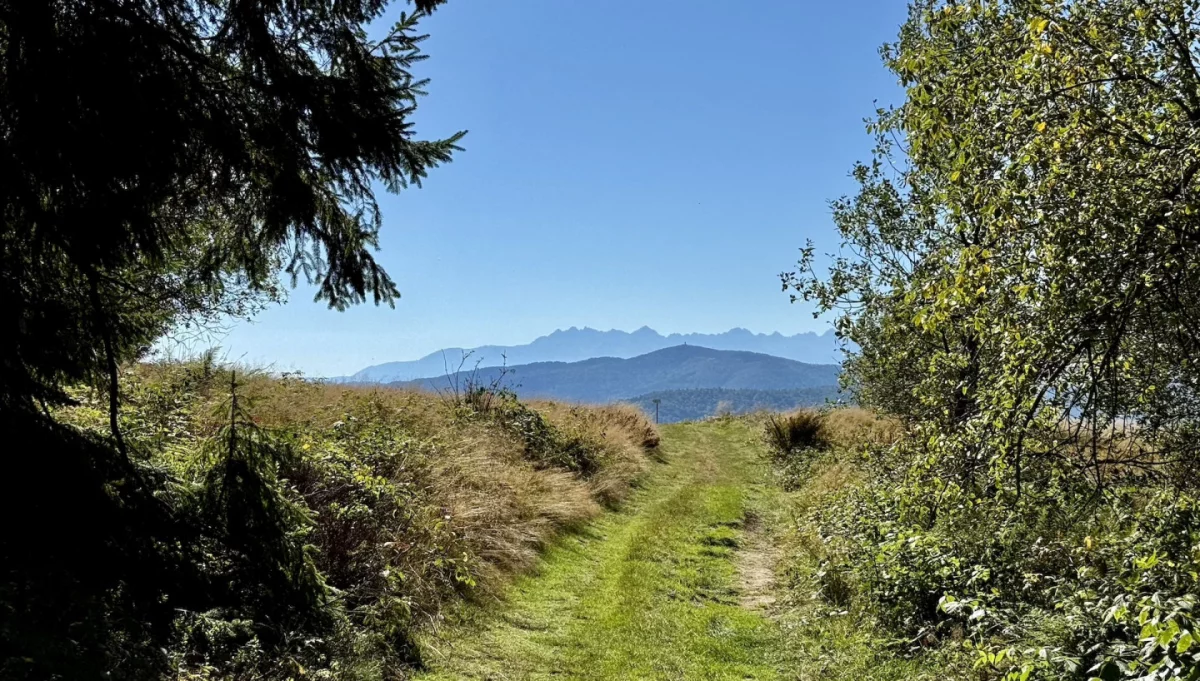 Widok z Polany Stumorgowej na Mogielicy w kierunku góry Gora i Tatr