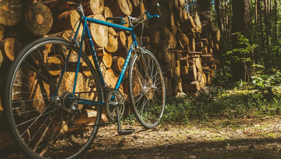 Od draisiny do gravelu: jak historia roweru kształtuje naszą jazdę dzisiaj - zdjęcie 1