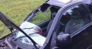 ​Jeleń wpadł do wnętrza samochodu, dwie osoby w szpitalu - zdjęcie 2
