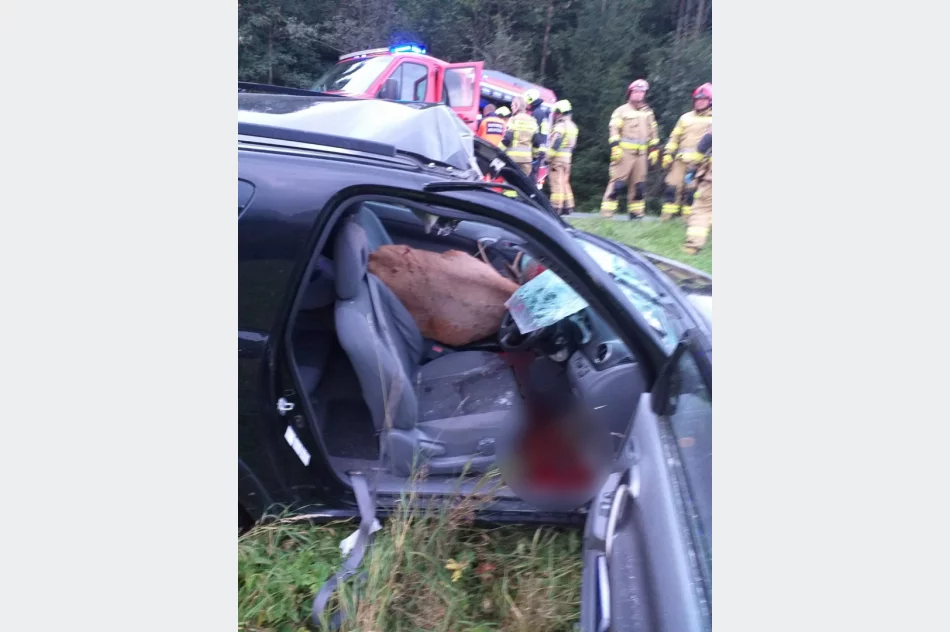 ​Jeleń wpadł do wnętrza samochodu, dwie osoby w szpitalu - zdjęcie 3