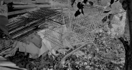 Kradł wyposażenie sklepów i przerabiał je... m.in na klatki dla kur - zdjęcie 2