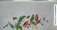 Po raz czwarty na Agropromocji (ZDJĘCIA) - zdjęcie 3