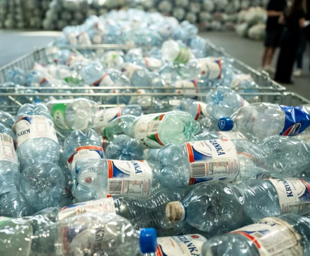 53 proc. Polaków skorzystało z systemu kaucyjnego - zdjęcie główne