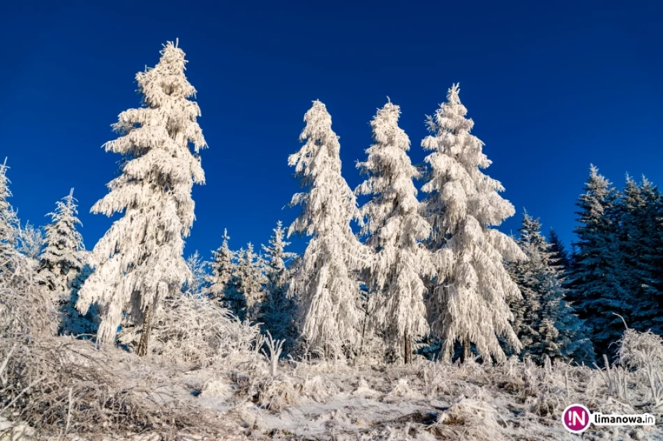 Beskid Wyspowy o mroźnym poranku - zdjęcie 3