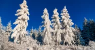 Beskid Wyspowy w mroźny poranek (zdjęcia) - zdjęcie 3