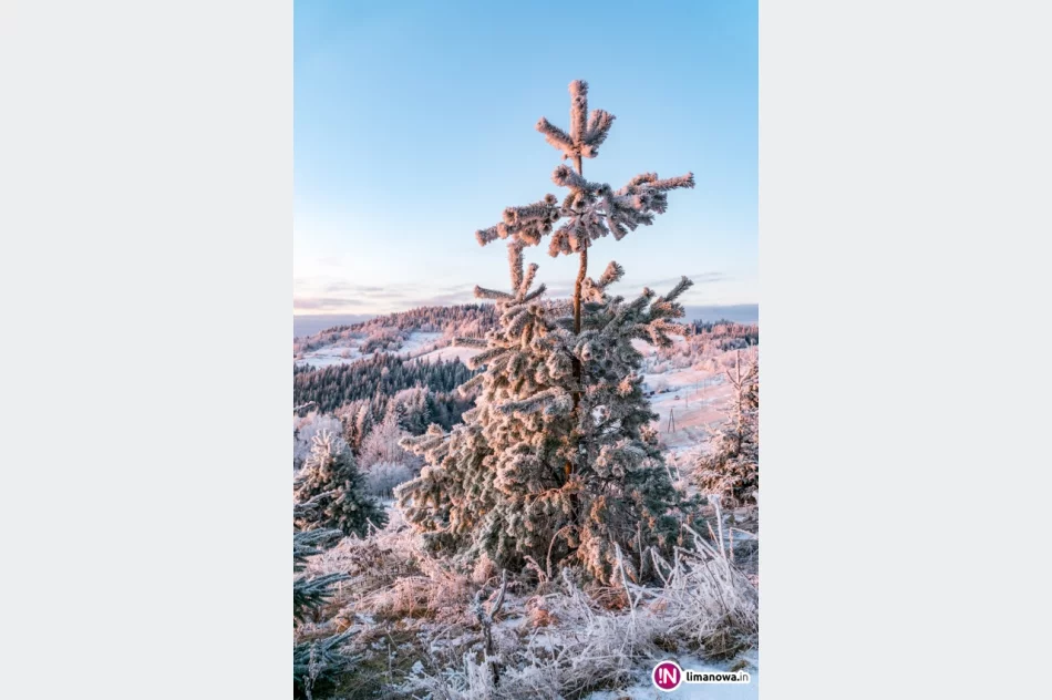 Beskid Wyspowy o mroźnym poranku - zdjęcie 6