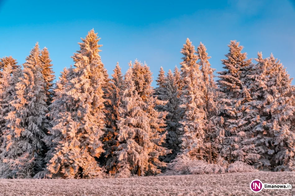 Beskid Wyspowy o mroźnym poranku - zdjęcie 8