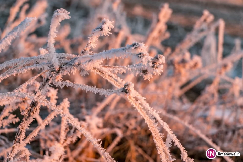 Beskid Wyspowy o mroźnym poranku - zdjęcie 10