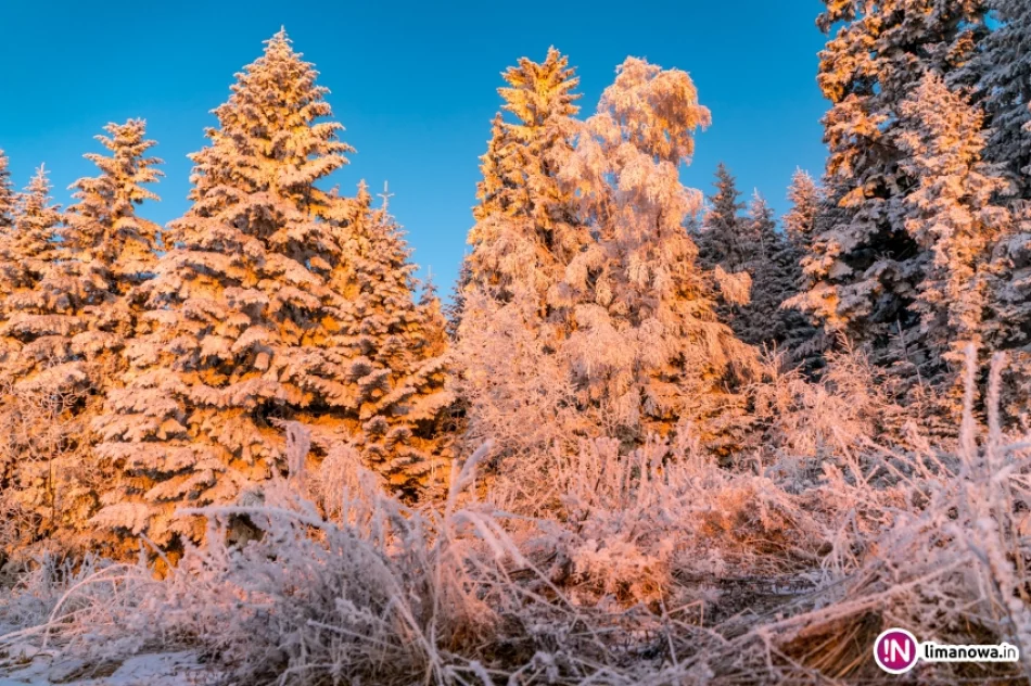 Beskid Wyspowy o mroźnym poranku - zdjęcie 12