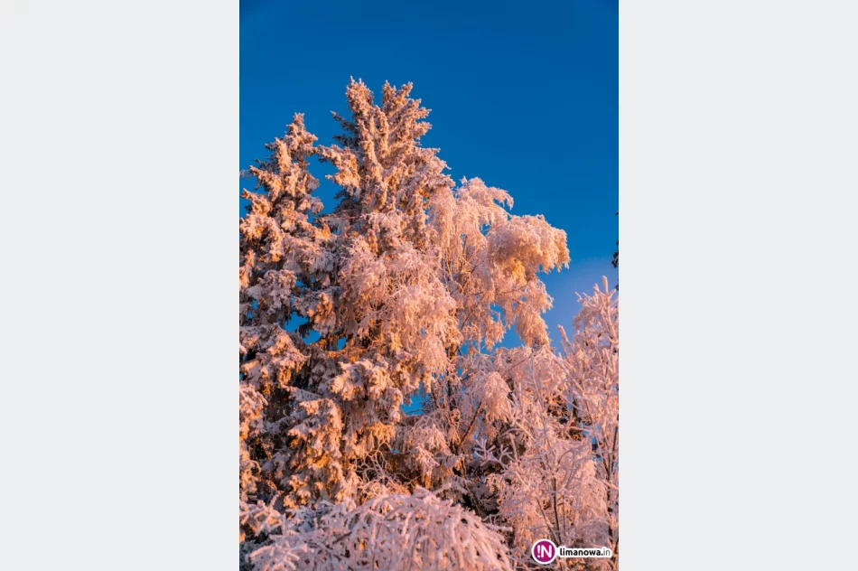 Beskid Wyspowy o mroźnym poranku - zdjęcie 13