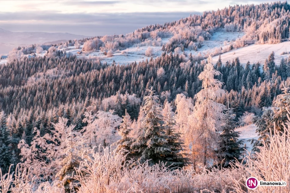 Beskid Wyspowy o mroźnym poranku - zdjęcie 14