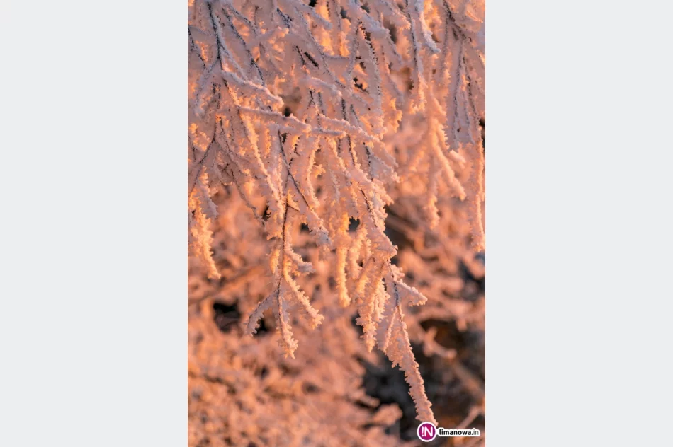 Beskid Wyspowy o mroźnym poranku - zdjęcie 15