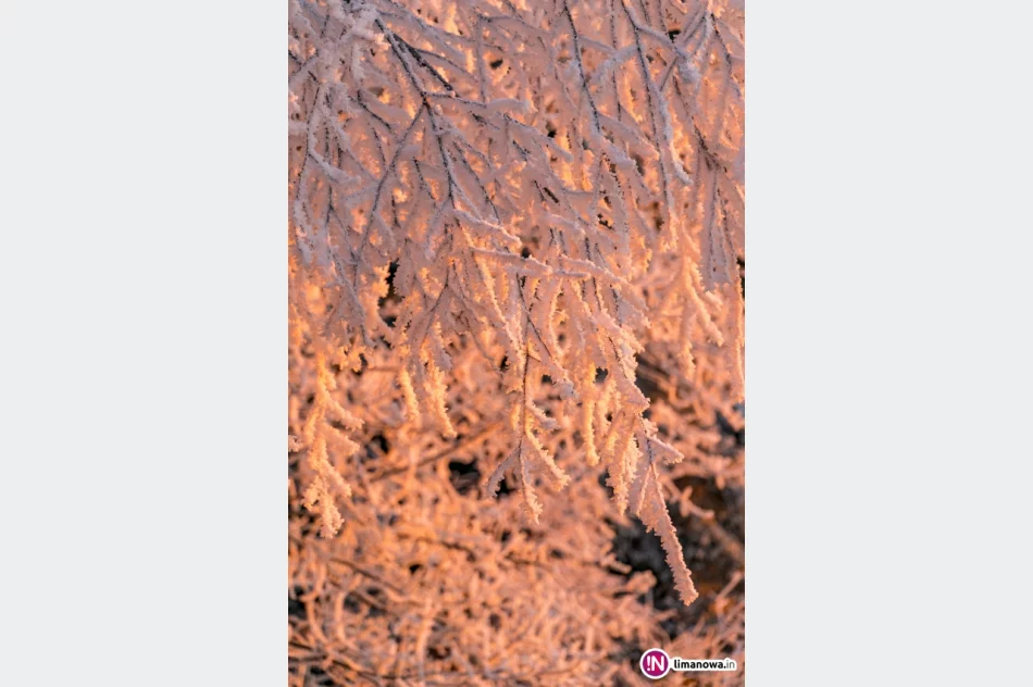 Beskid Wyspowy o mroźnym poranku - zdjęcie 16