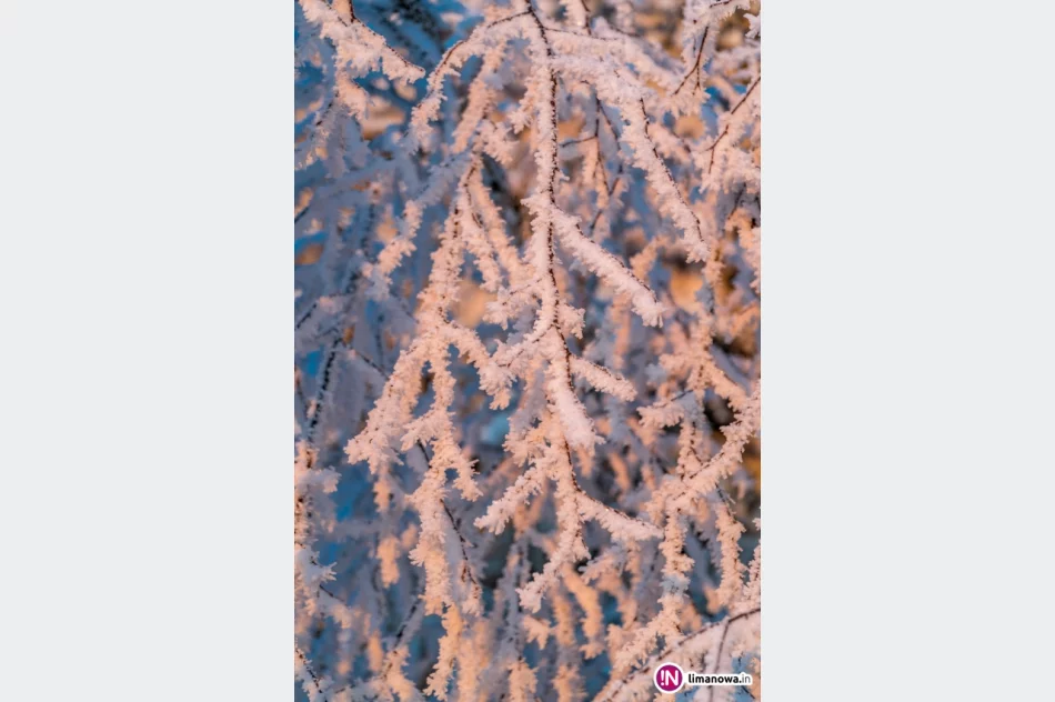 Beskid Wyspowy o mroźnym poranku - zdjęcie 17