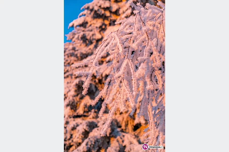 Beskid Wyspowy o mroźnym poranku - zdjęcie 18