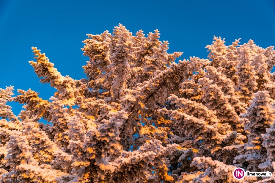 Beskid Wyspowy o mroźnym poranku - zdjęcie 19
