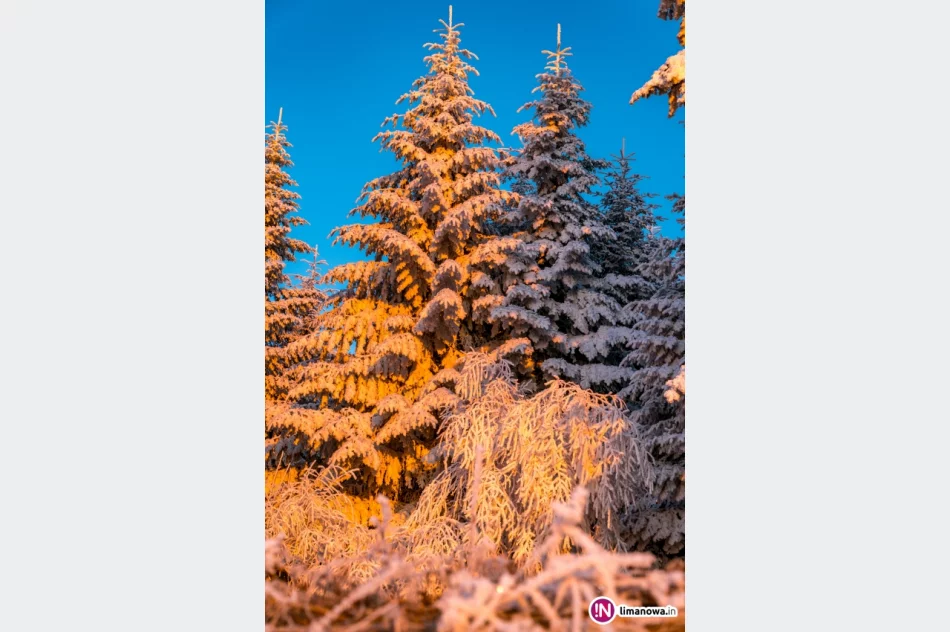 Beskid Wyspowy o mroźnym poranku - zdjęcie 20