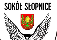 Sokół Słopnice rozbity w Żabnie - zdjęcie główne