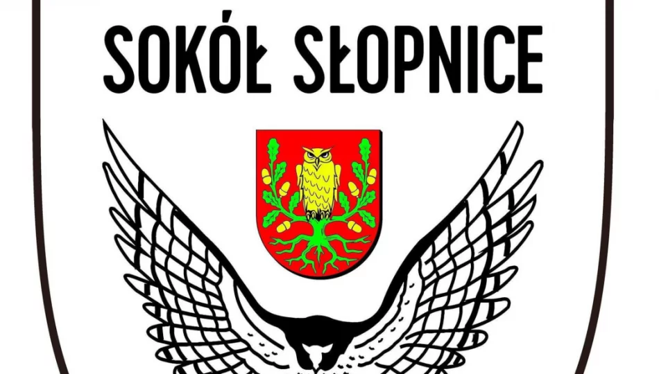 Sokół Słopnice rozbity w Żabnie - zdjęcie 1