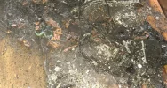 W domu wybuchła bateria hulajnogi  - zdjęcie 2