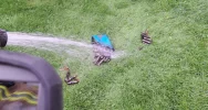 W domu wybuchła bateria hulajnogi  - zdjęcie 3