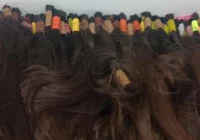 Zatrzymali przemyt 15 kg ludzkich włosów - zdjęcie główne