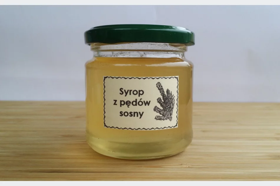 Syrop z pędów sosny 2025 - zdjęcie 1