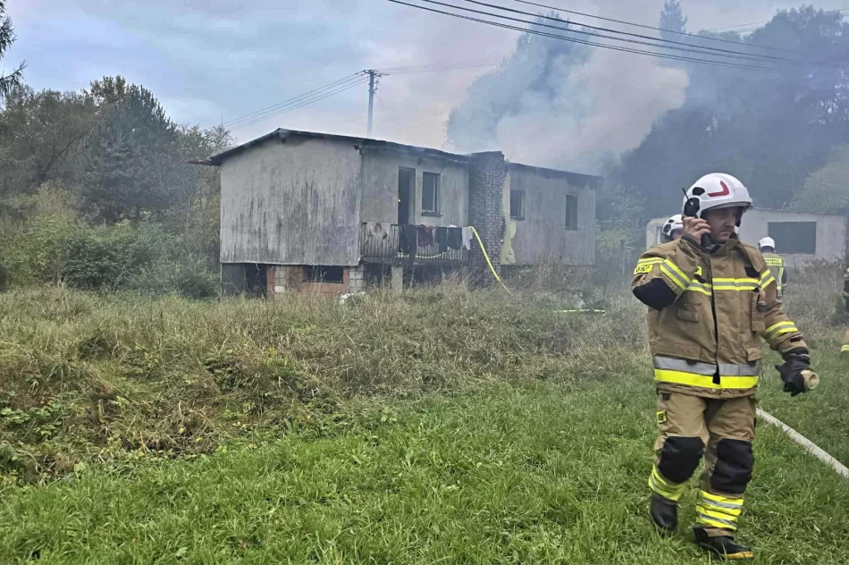 Pożar budynku, w akcji ponad 20 strażaków - zdjęcie 3