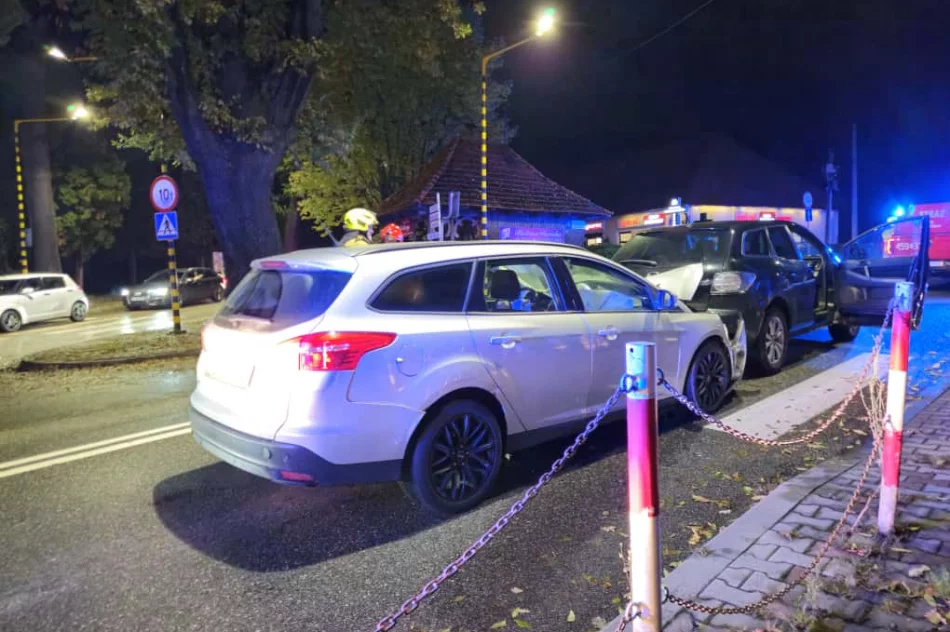 Piesza potrącona na pasach w wyniku kolizji - zdjęcie 4
