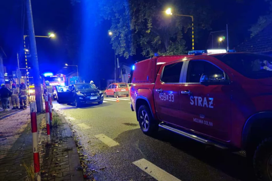 Piesza potrącona na pasach w wyniku kolizji - zdjęcie 10