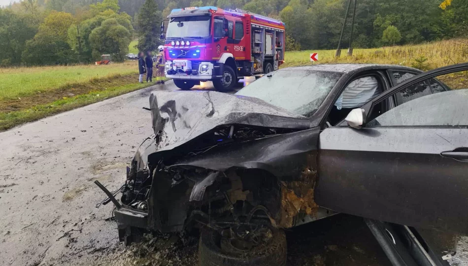 BMW w rowie. 24-latek z 1,5 promila i zatrzymanym prawem jazdy - zdjęcie 1