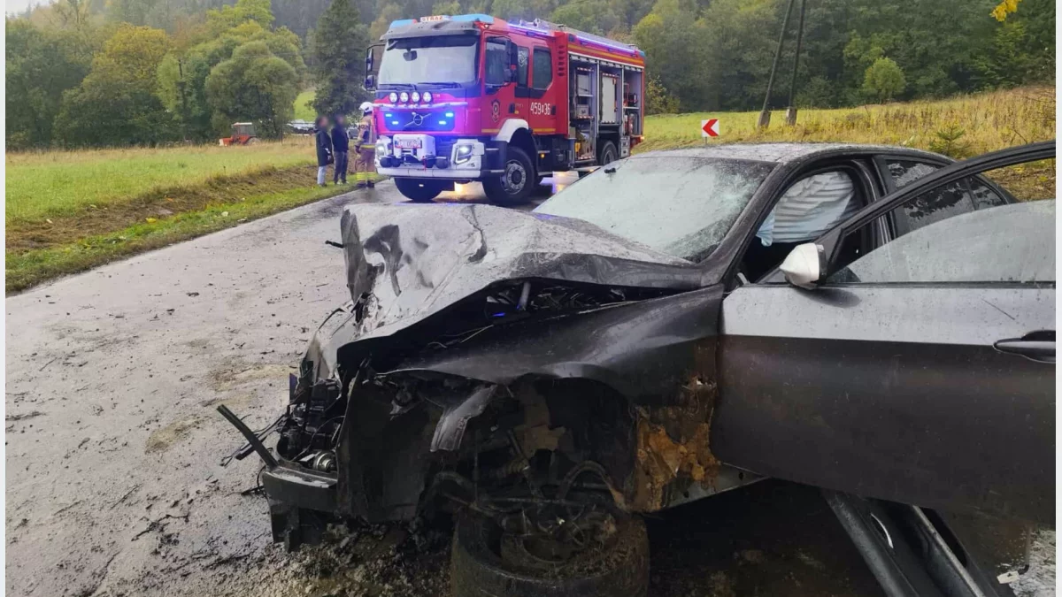 Wypadek BMW w Zalesiu/fot.: OSP Zalesie