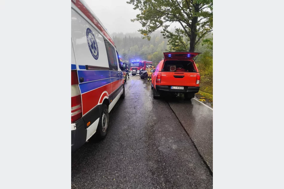 BMW w rowie. 24-latek z 1,5 promila i zatrzymanym prawem jazdy - zdjęcie 3