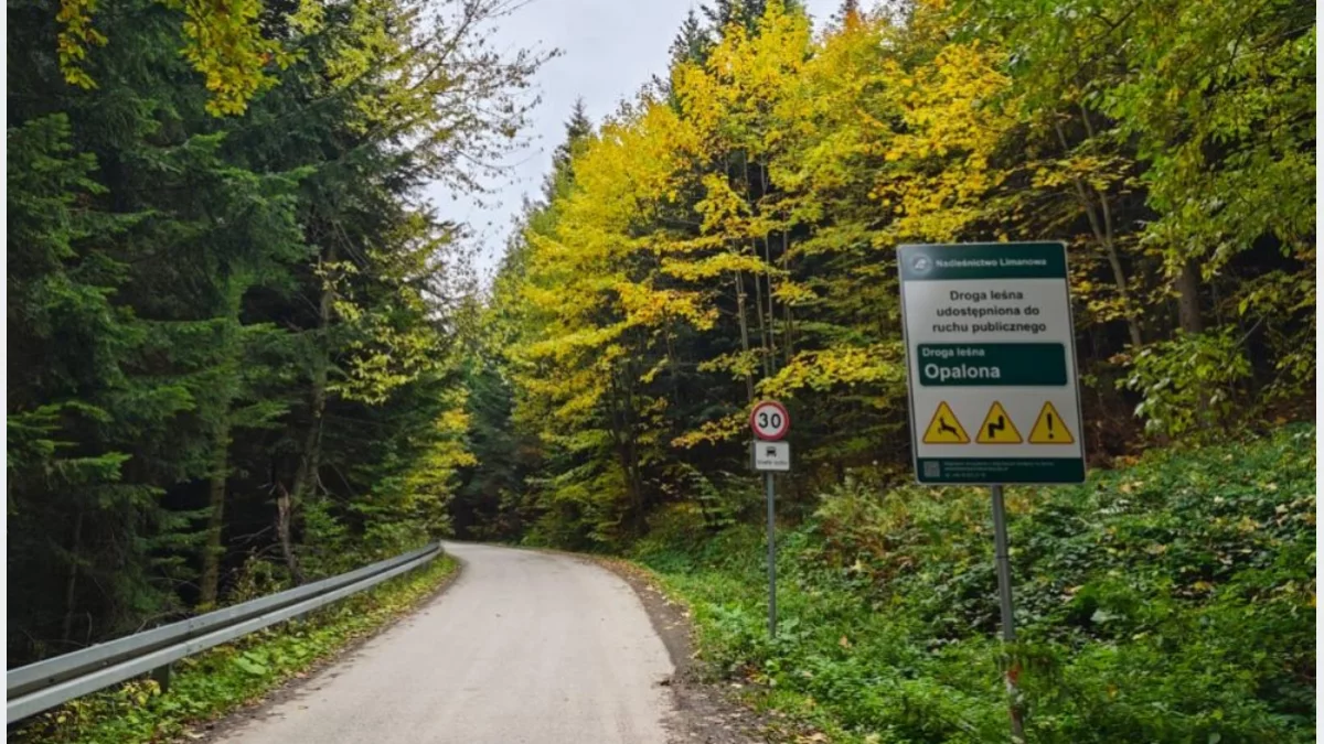Droga leśna Opalona/fot.: Nadleśnictwo Limanowa