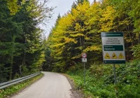 Droga zamknięta. Leśnicy prowadzą prace gospodarcze - zdjęcie główne