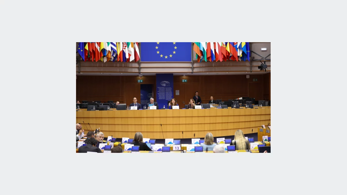 Europejskie regiony biją na alarm w sprawie demografii: trzeba zaangażować unijne fundusze