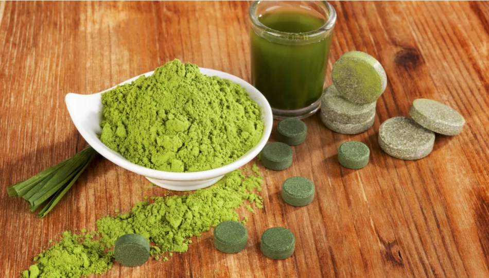 Różnice między chlorellą a spiruliną - porównanie ich właściwości, składu, działania i zastosowania - zdjęcie 1
