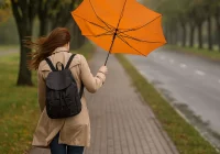 IMGW: Ostrzeżenie przed silnym wiatrem - zdjęcie główne