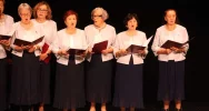 Samorząd dla seniorów - zdjęcie 4