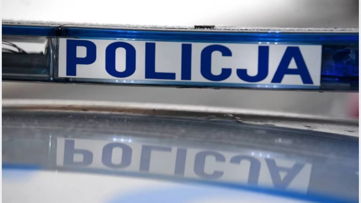 Nie zachowali odstępu - kolizje i mandaty