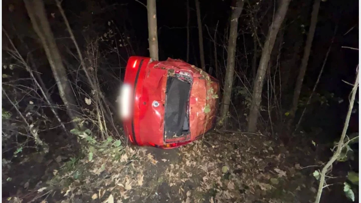 Dachowanie w Porębie Wielkiej/fot.: Małopolska Alarmowo