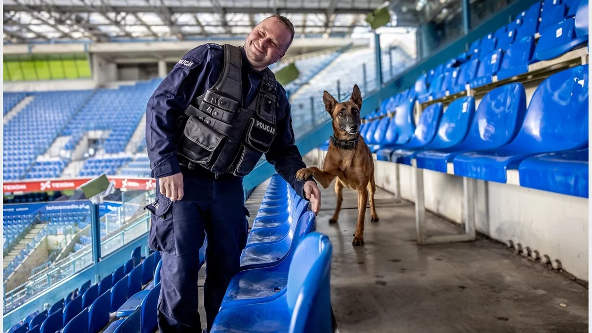 Szkolenie psów służbowych małopolskiej policji/fot.: KWP Kraków