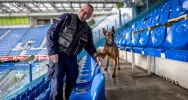 Policjanci szkolili psy służbowe - zdjęcie 3